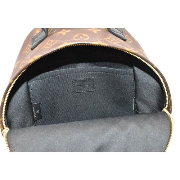 Louis Vuitton Palm Springs Backpack PM Monogram Rucksack - Picture 6 of 13